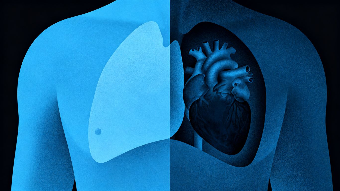 Health risks for vital organs