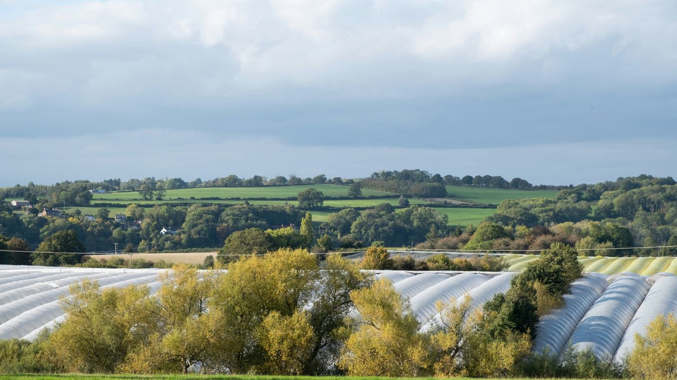 Rolling green hills under a cloudy sky