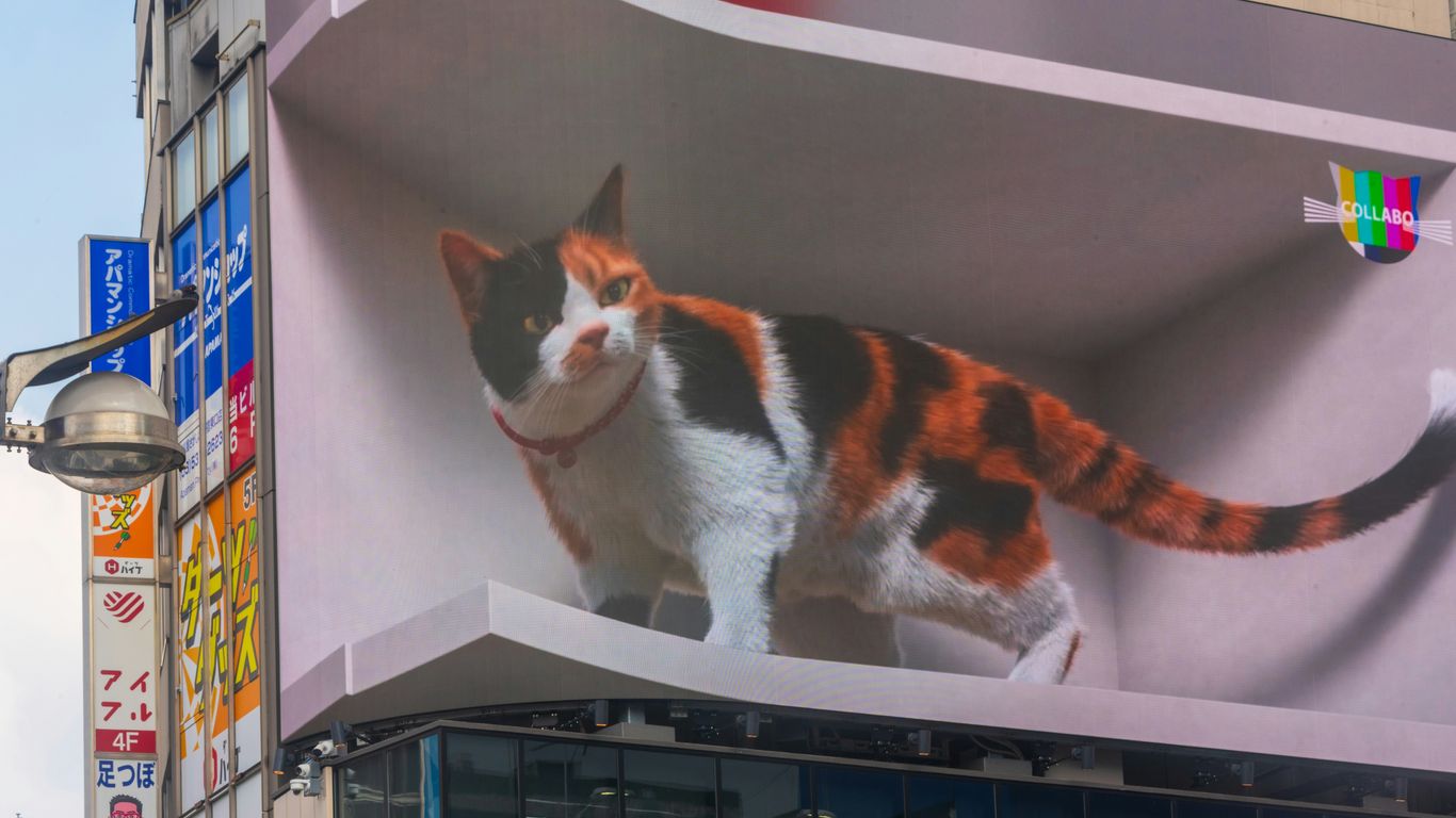 A picture of a cat on the side of a building