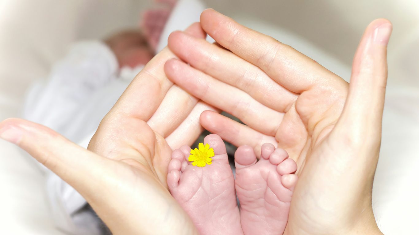 person holding baby's toe with yellow petaled flower in between