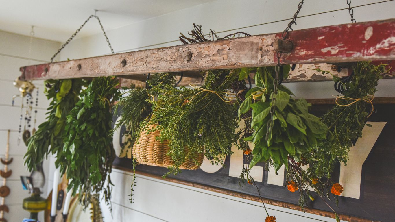 Herbs and a small pumpkin hanging from a rustic wooden beam.
