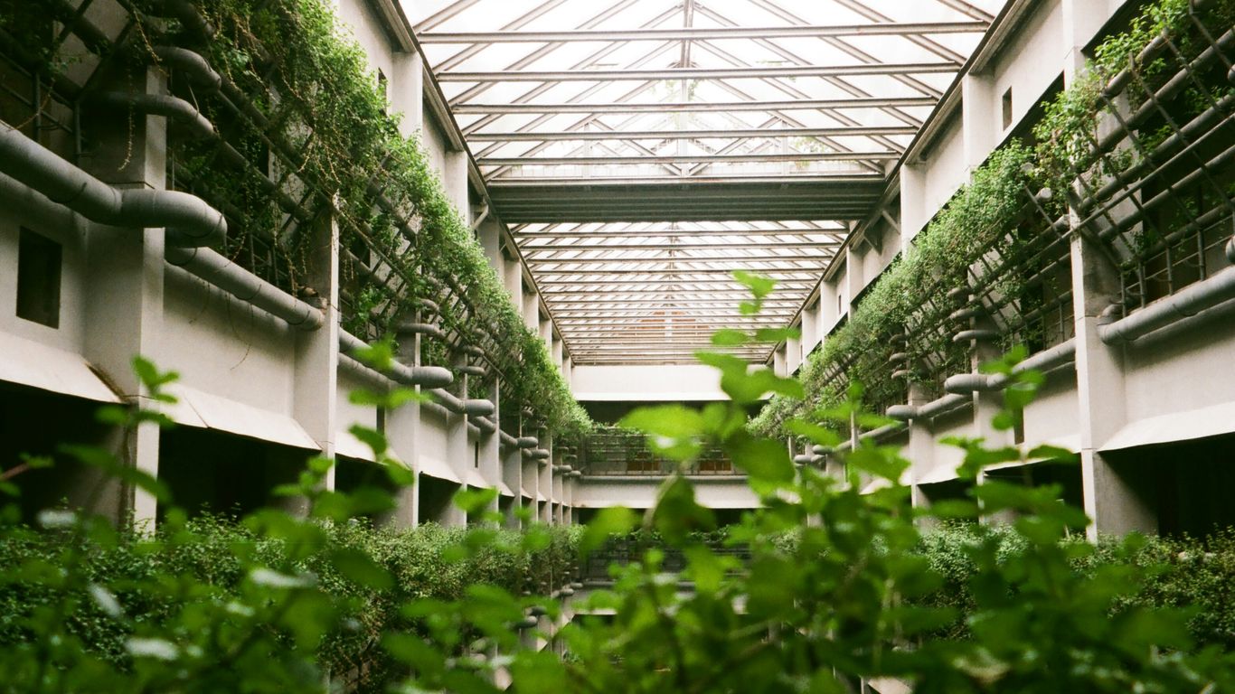 a building with lots of plants growing inside of it