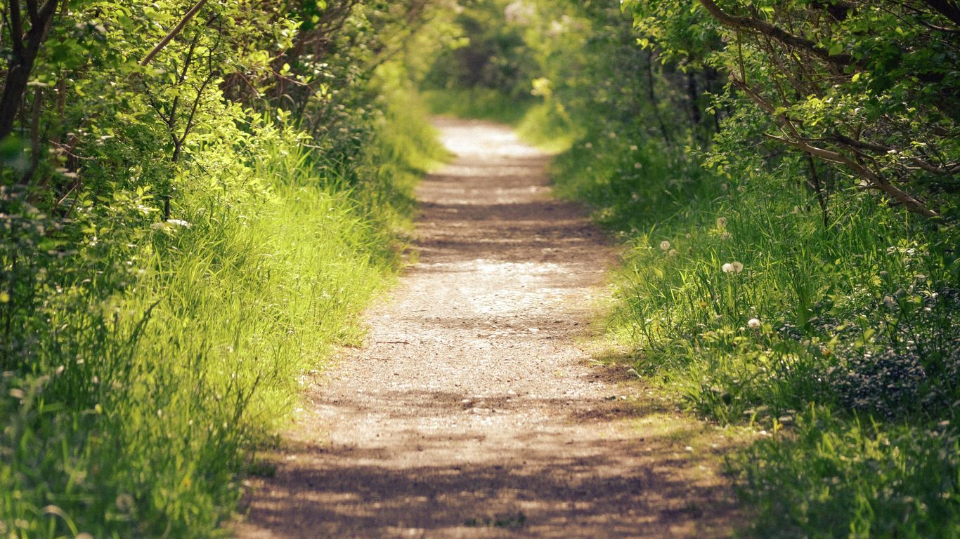 Lush greenery and walking trails