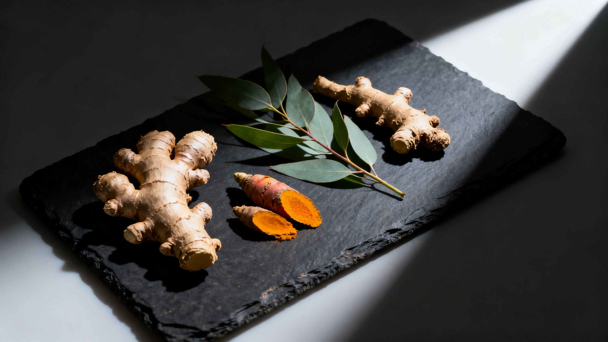 Une composition de plantes médicinales brutes (racines de gingembre, curcuma, feuilles d'eucalyptus) disposées sur une ardoise sombre, éclairées par un faisceau de lumière dramatique. Style éditorial de magazine scientifique.