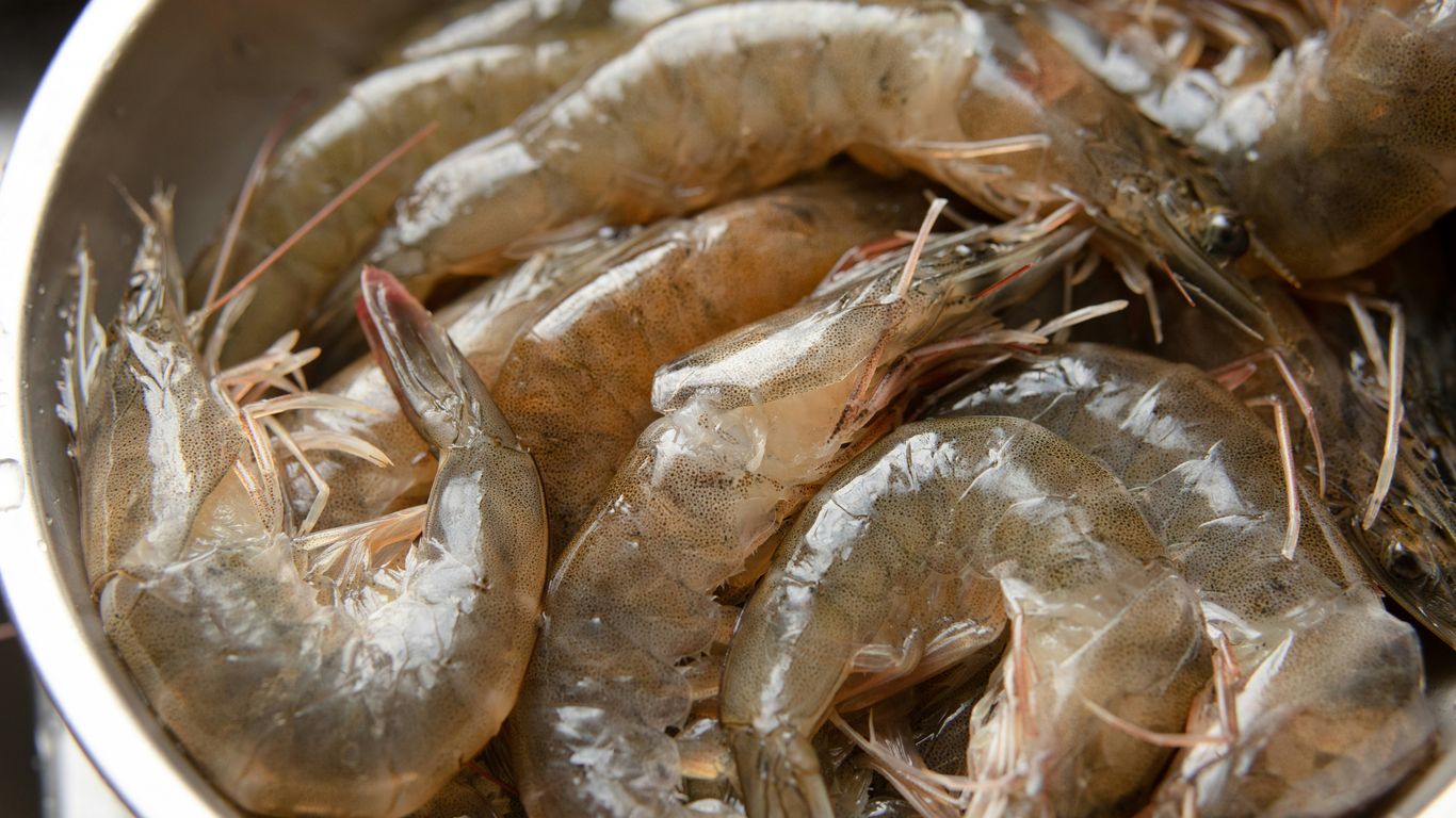 Prawn stock boiling in pot