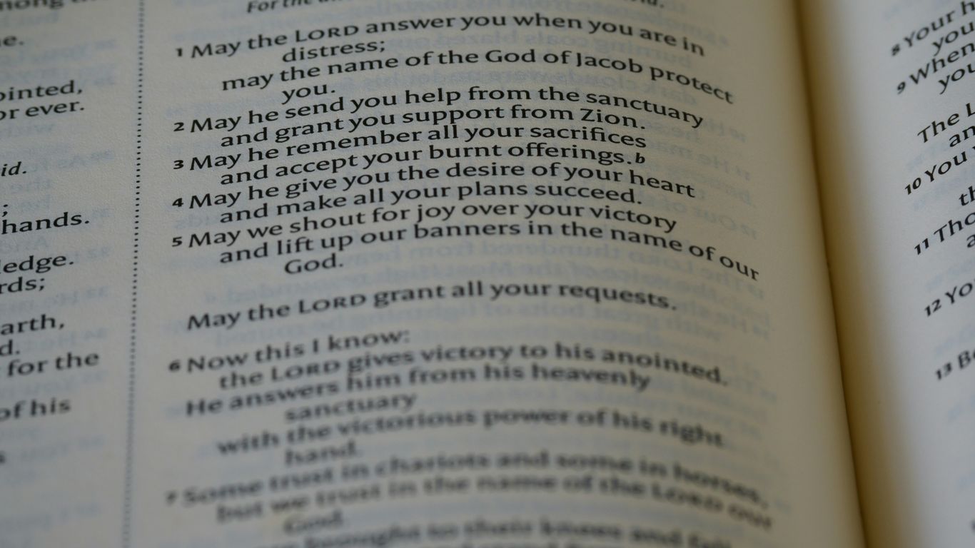 a close up of a book with an open page