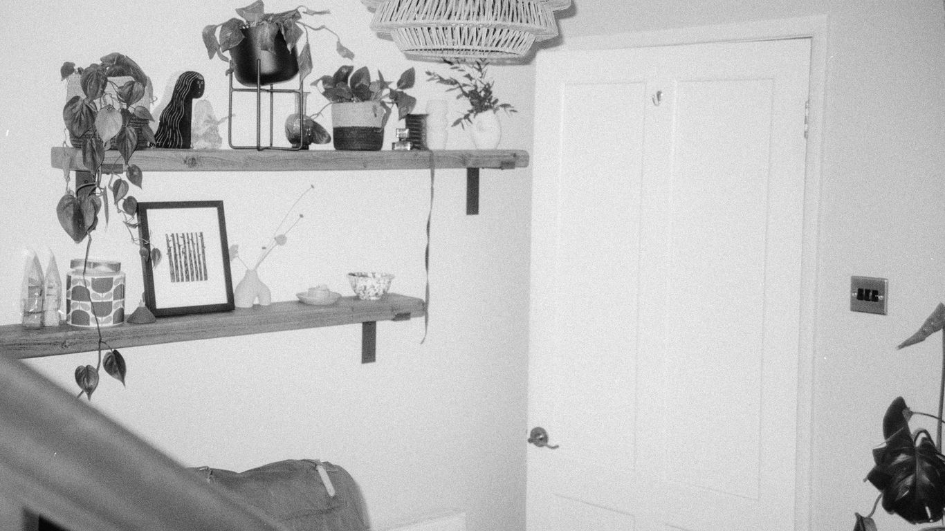 Shelves with plants and decor next to a door.