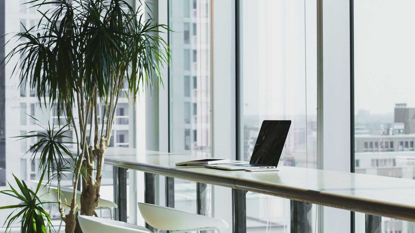 Natural light in office spaces