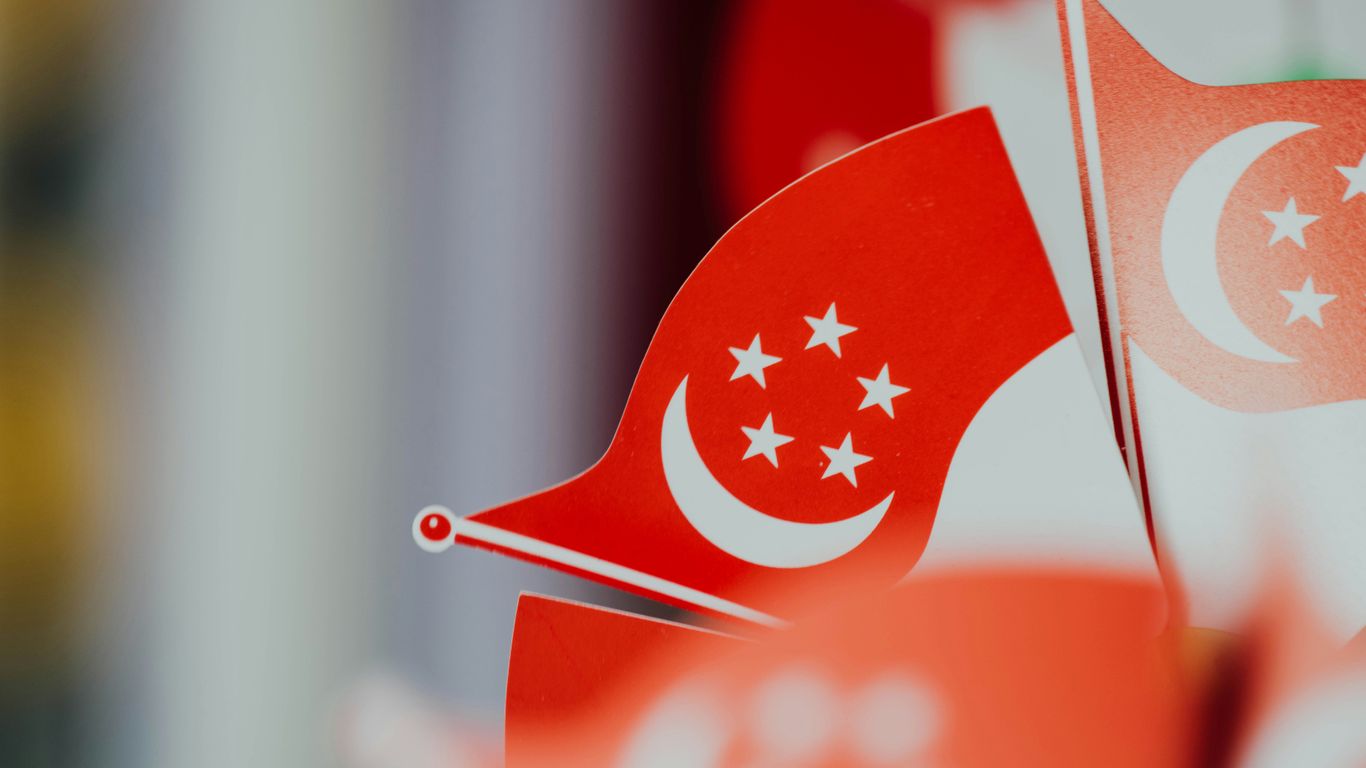 selective focus photography of flaglet of Turkey