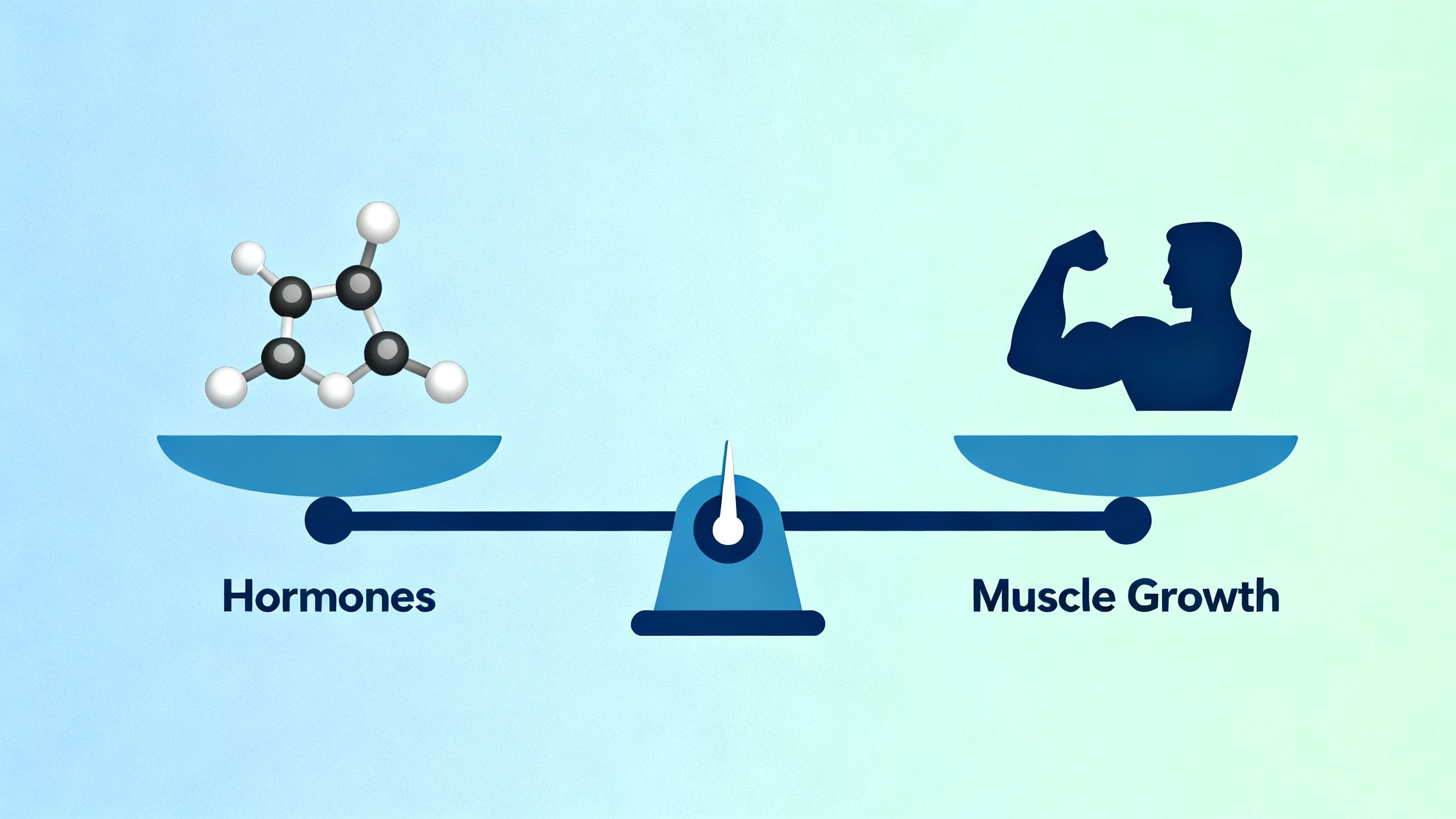 A diagram showing a balanced scale with hormones on one side and muscle growth on the other, symbolizing a stable endocrine system.