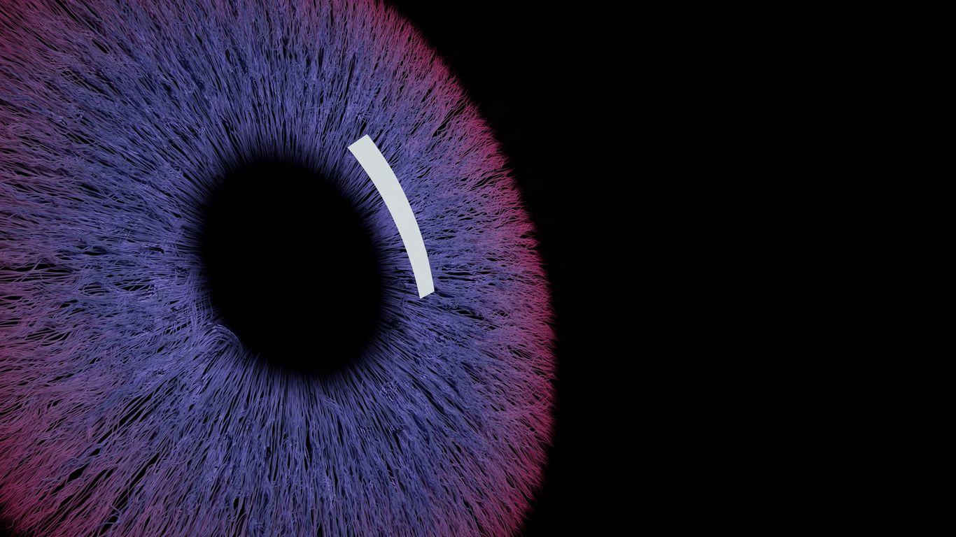 Close-up of a purple iris with a black pupil.