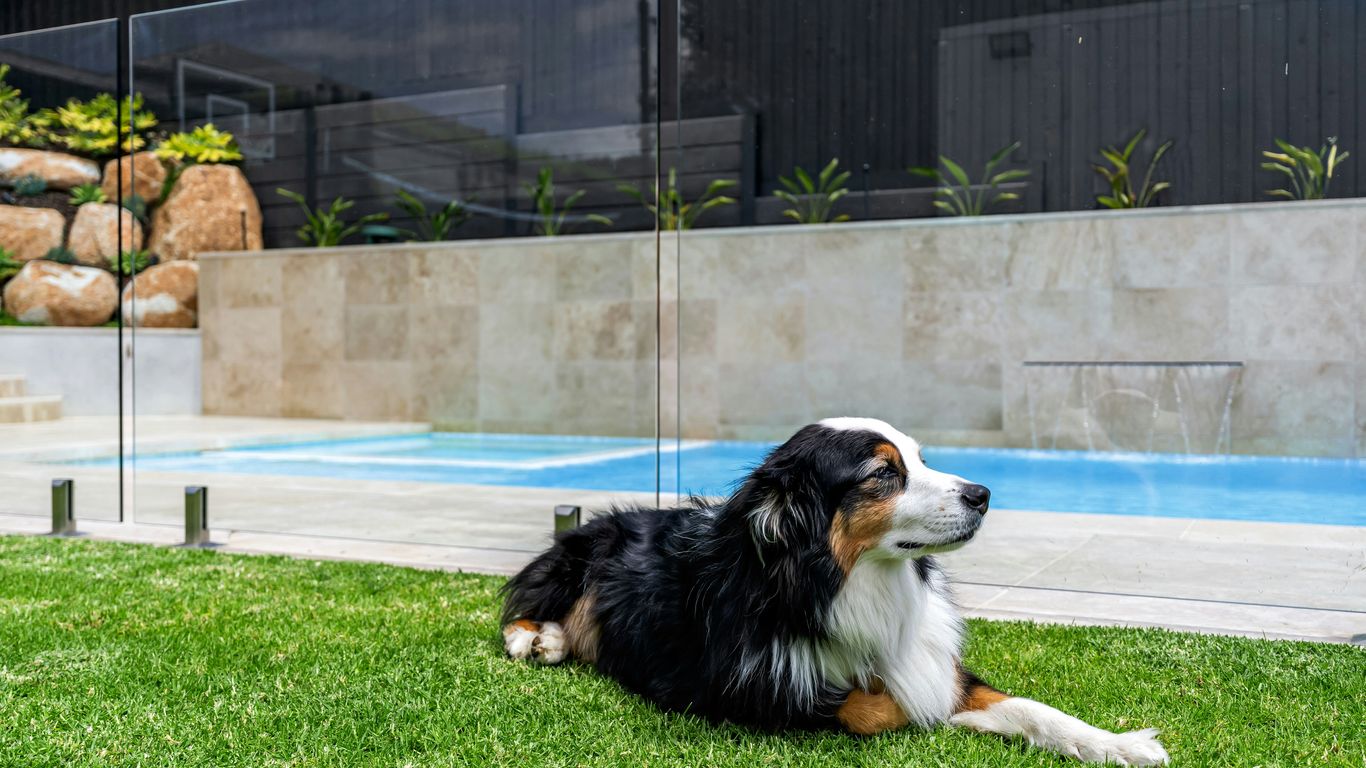 A dog laying in the grass next to a pool