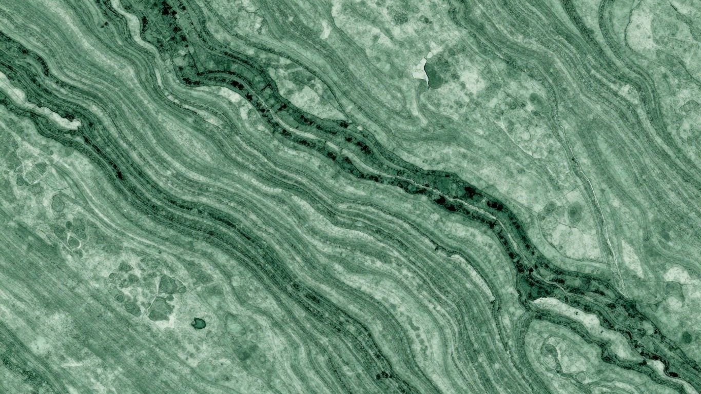 Verde Alpi marble slab sketch