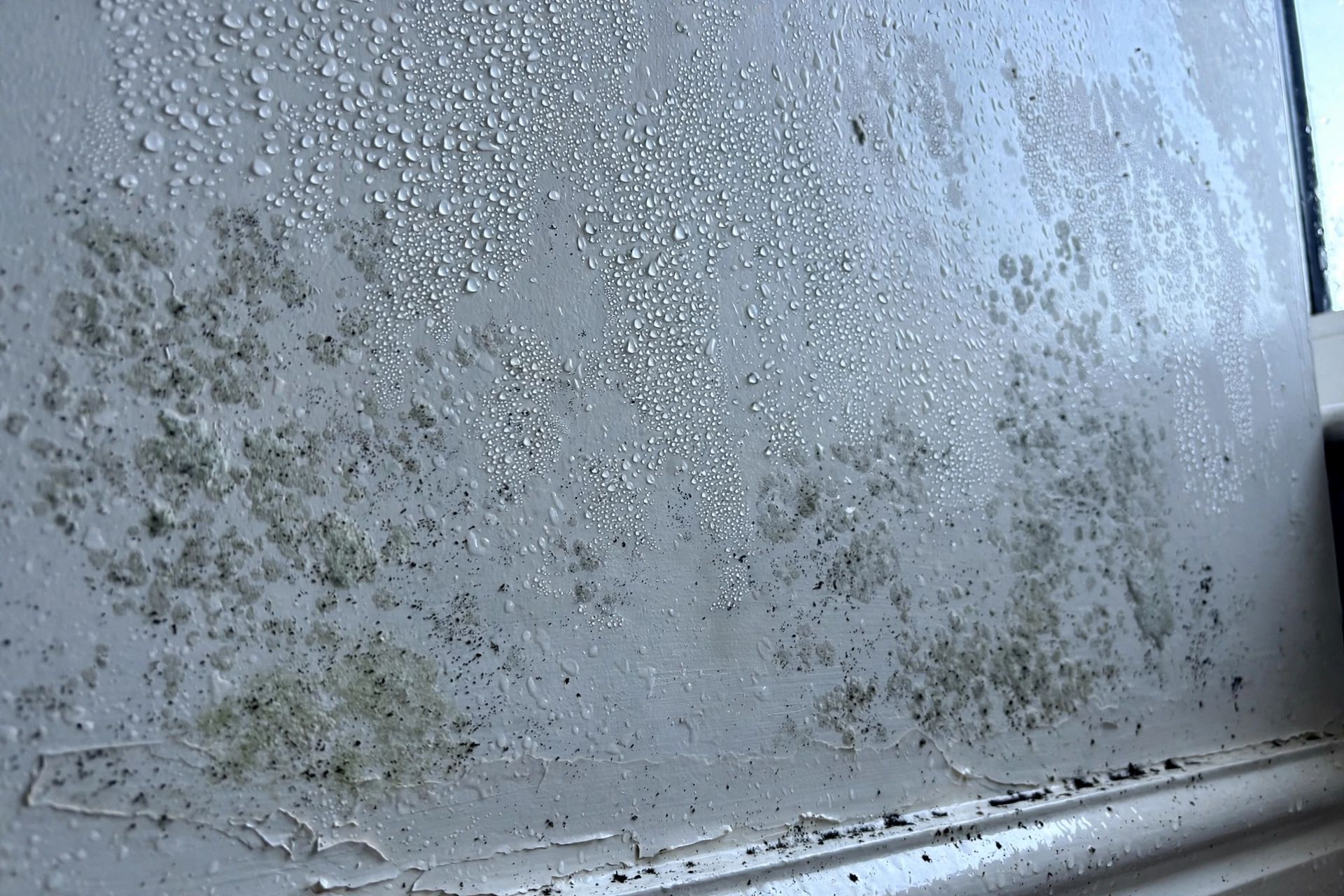 Condensation droplets and light mould patches on a cold interior wall in a Bristol home
