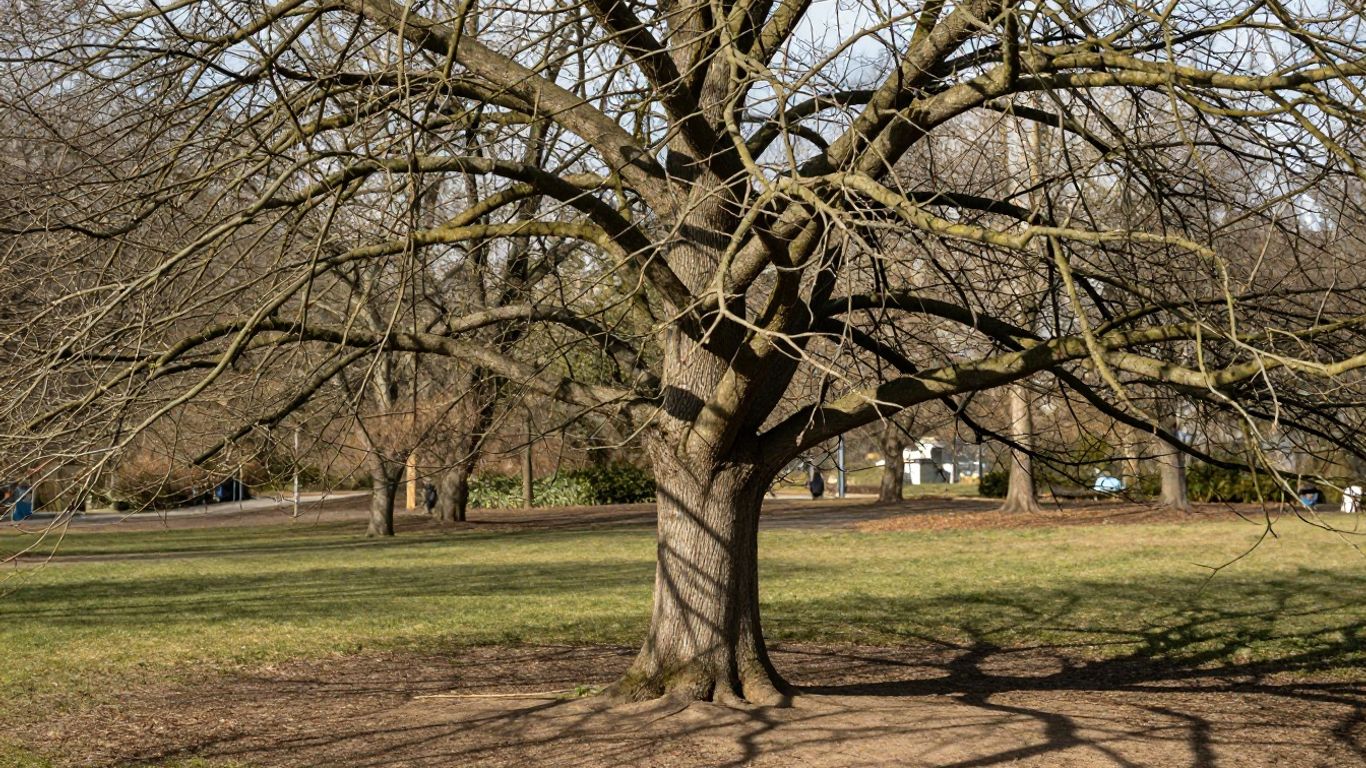 Identifying branches for maintenance