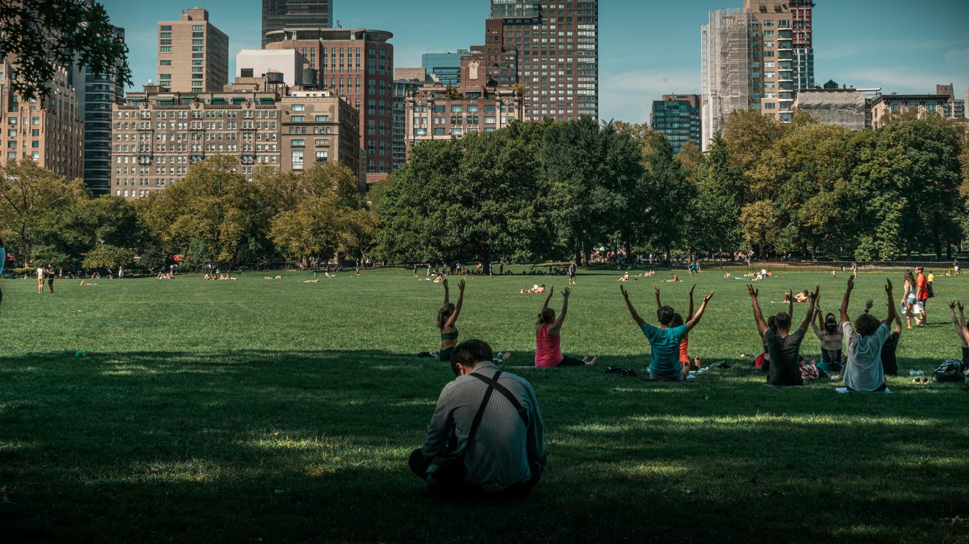 A person practicing yoga in a park