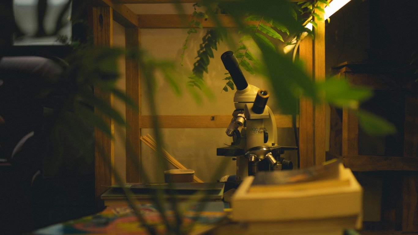 Microscope in a wooden enclosure with plants