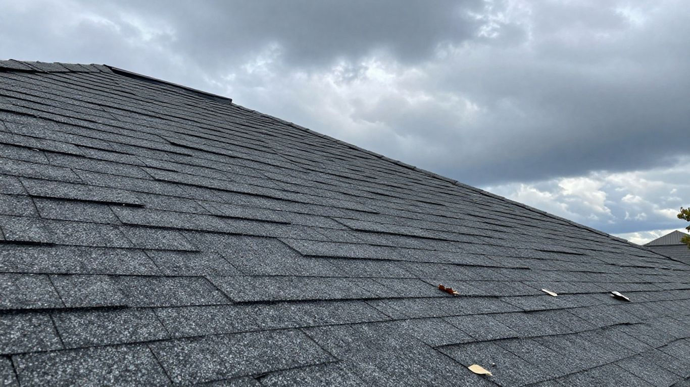 Roof protected from storm debris and weather