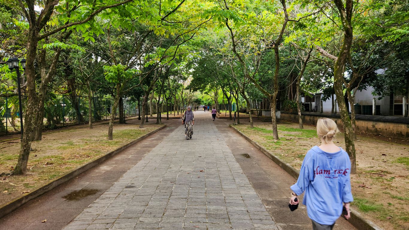 A visitor walking through a park in Singapore