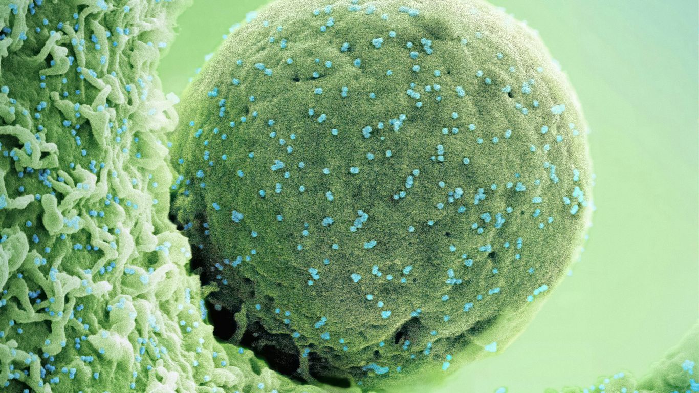 a green substance with blue dots on it