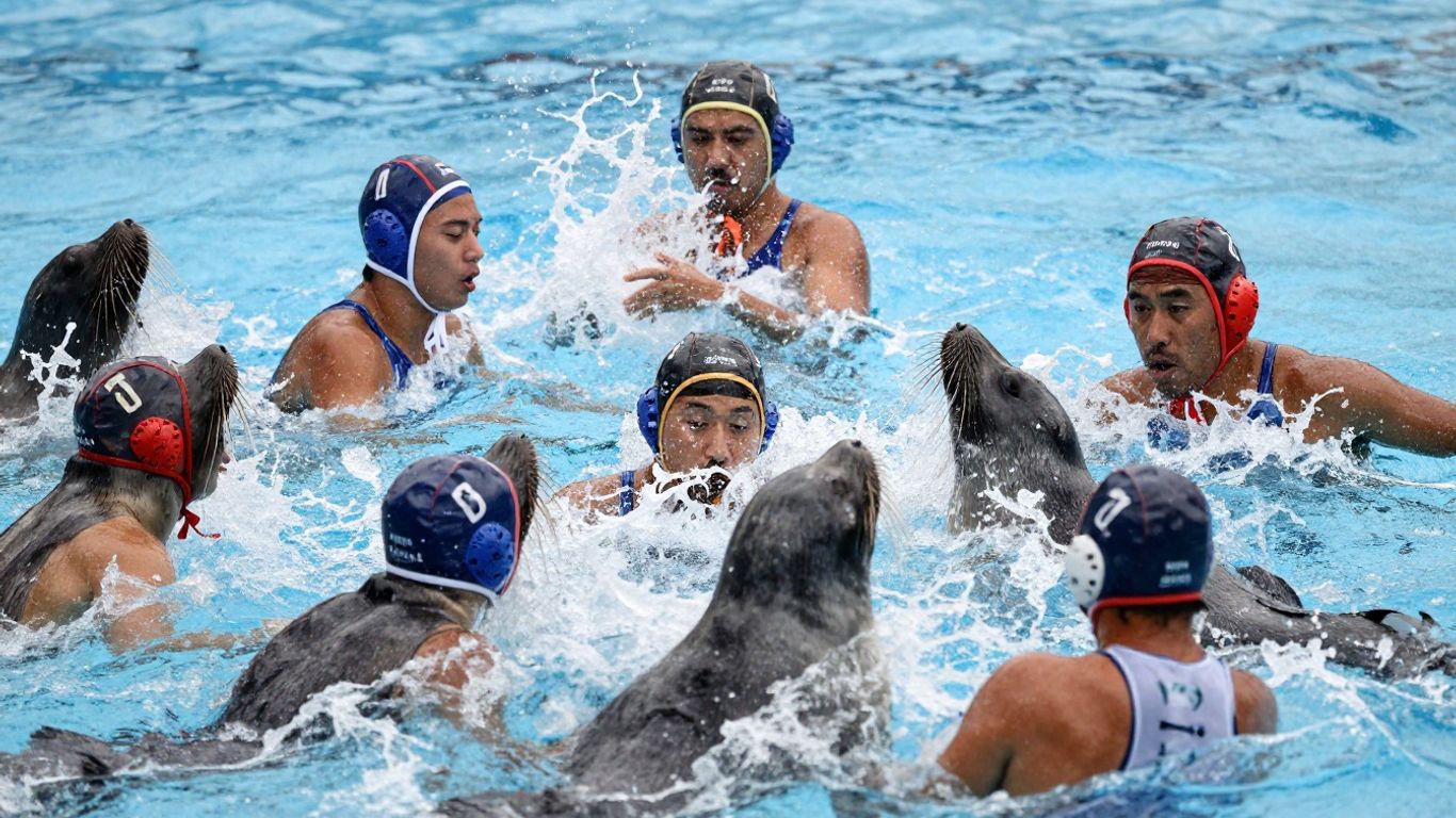 Athletes competing in the Wavy Seals Elite Competition.