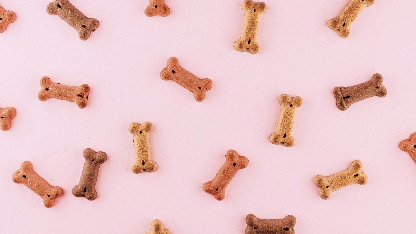 Assorted pet treats in retail packaging