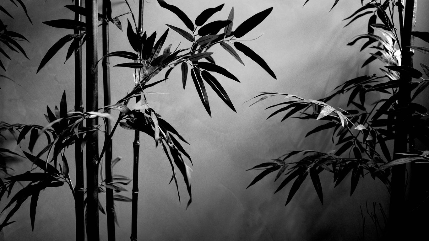 Painting of traditional bamboo and ink mountain