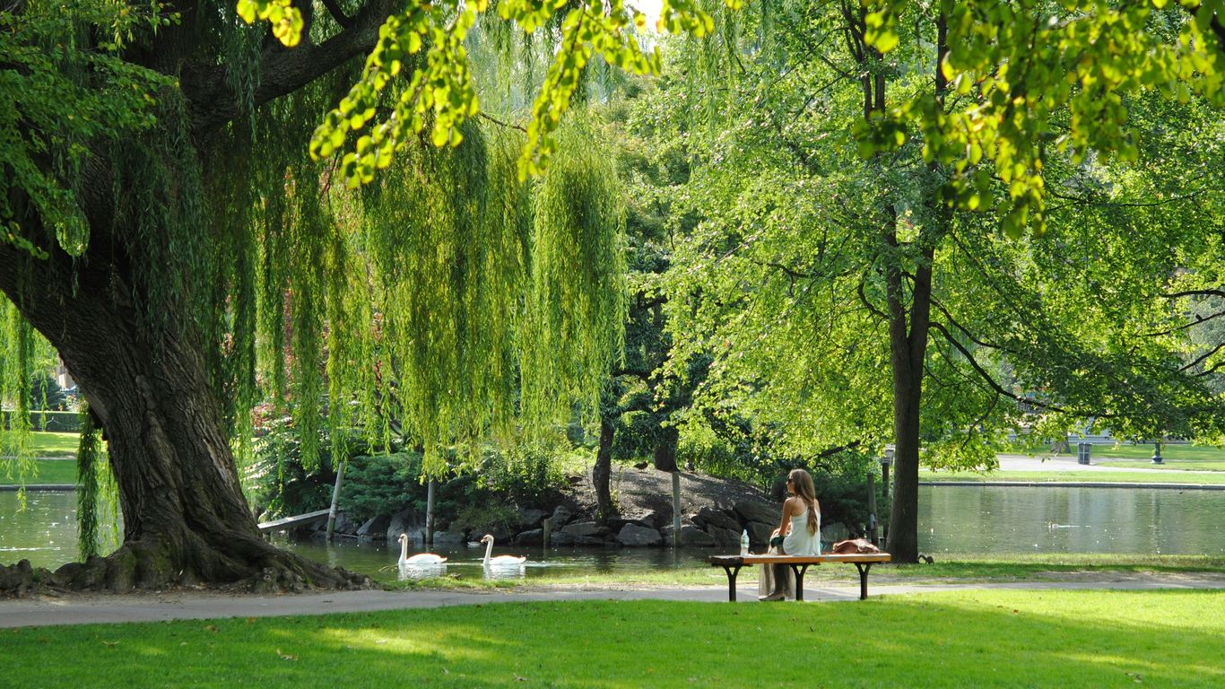 Public park amenities at sunset