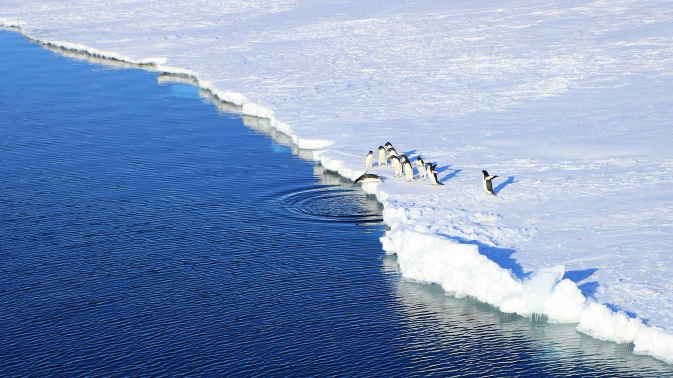 people surfing on sea waves during daytime