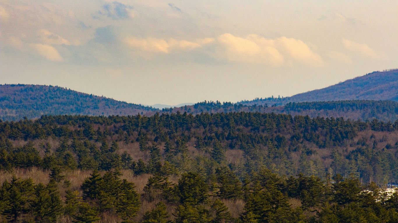 green trees on mountain under white clouds during daytime