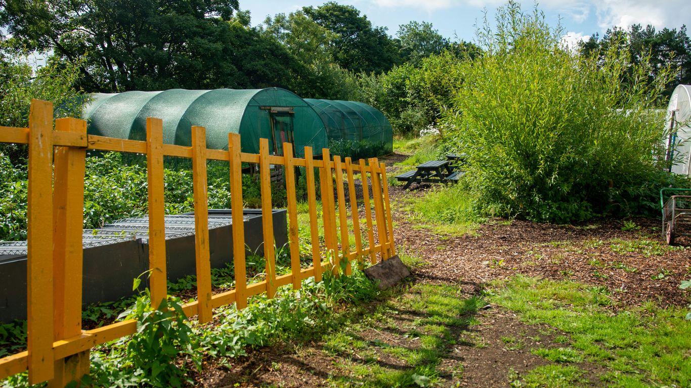 Greenhouses and garden with yellow fence in sunlight