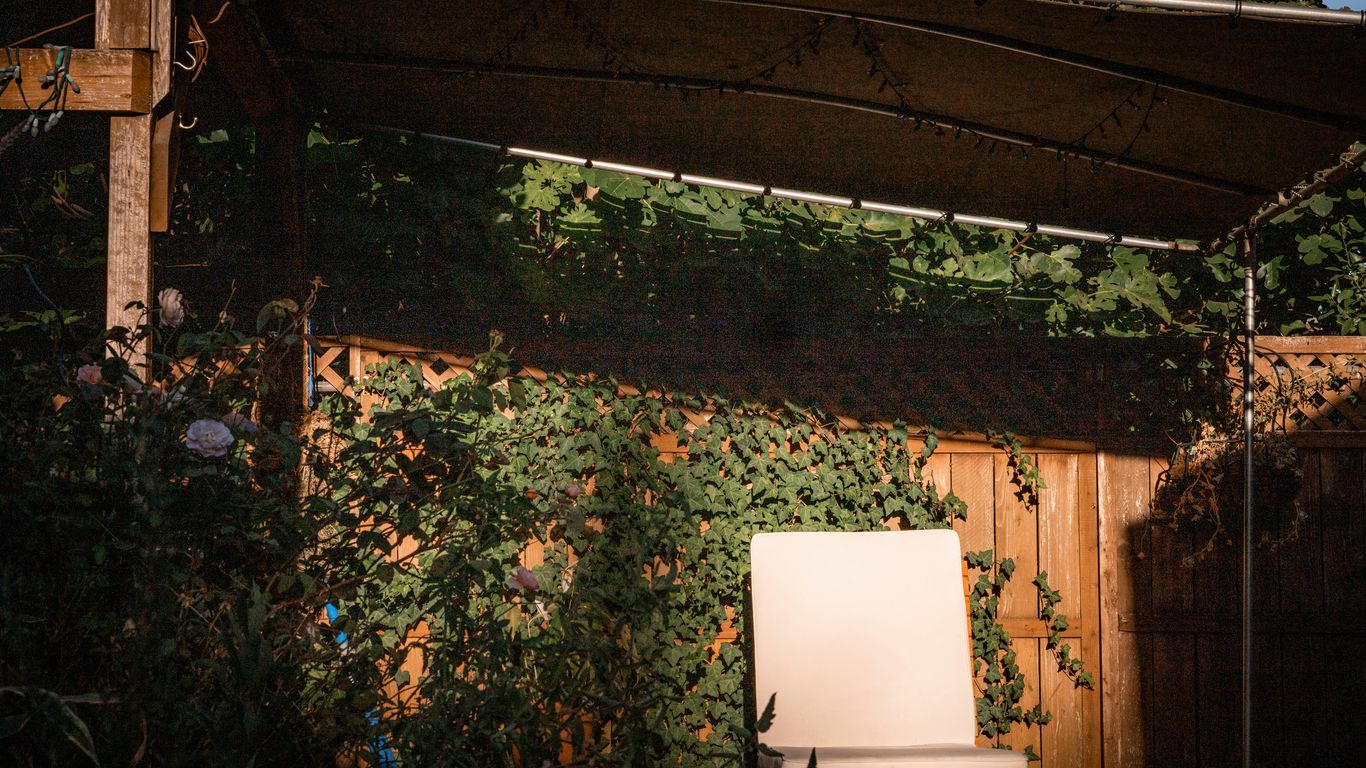 white and brown chair beside brown wooden wall