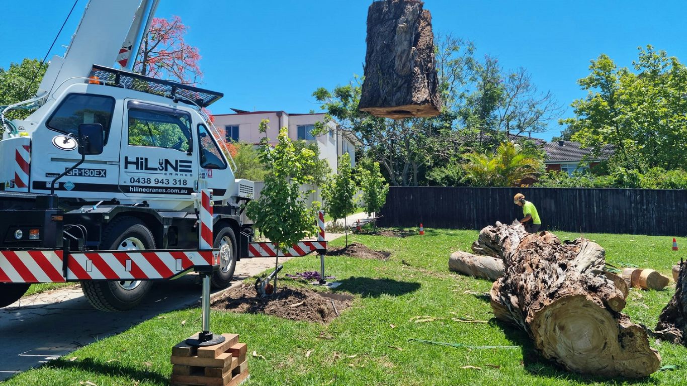 Tree removal equipment beside a completed job