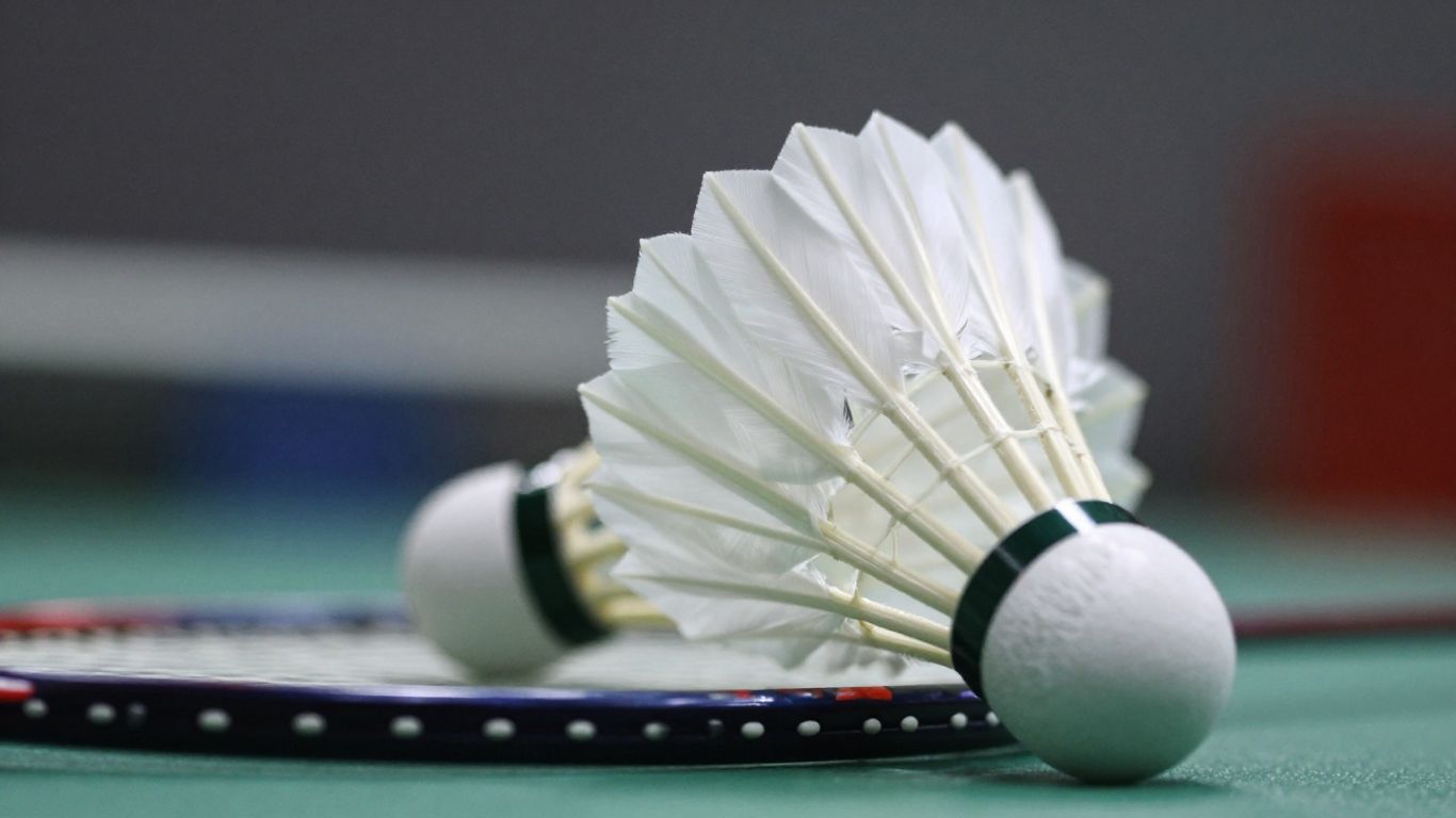 Badminton shuttlecock and racket close-up