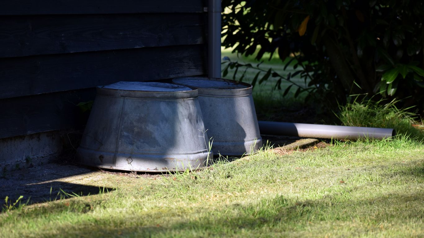 A cat sitting on the grass in front of a house