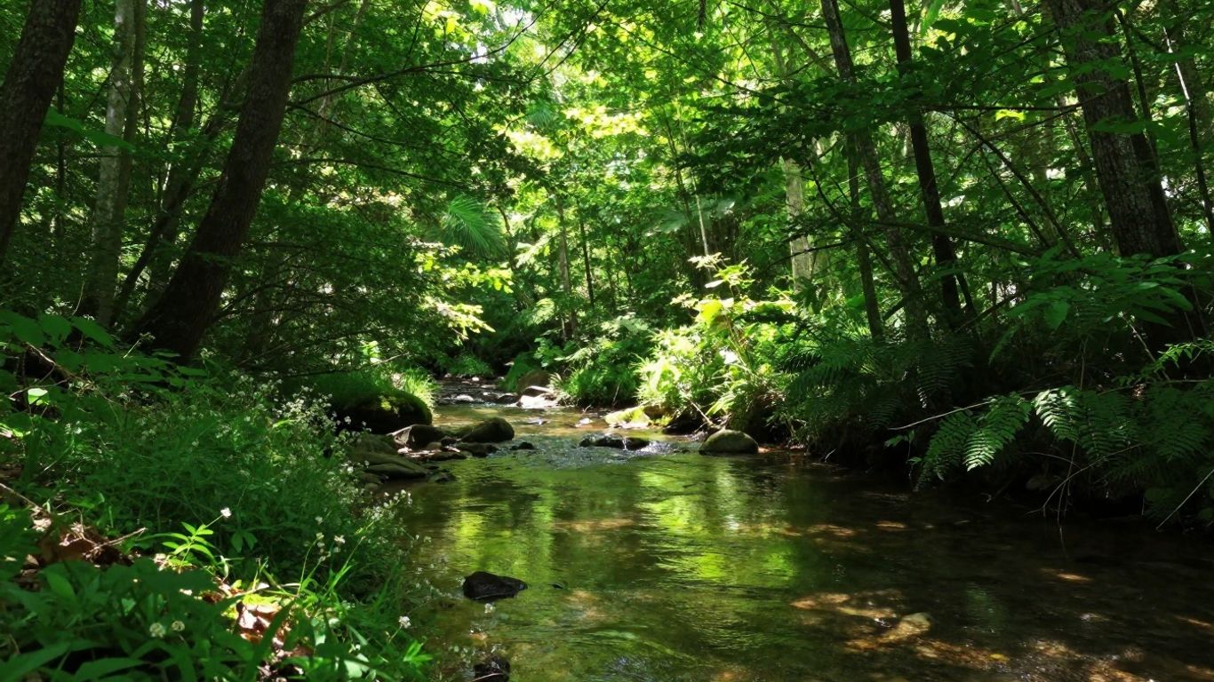 Forêt verte, eau claire, et fleurs sauvages.