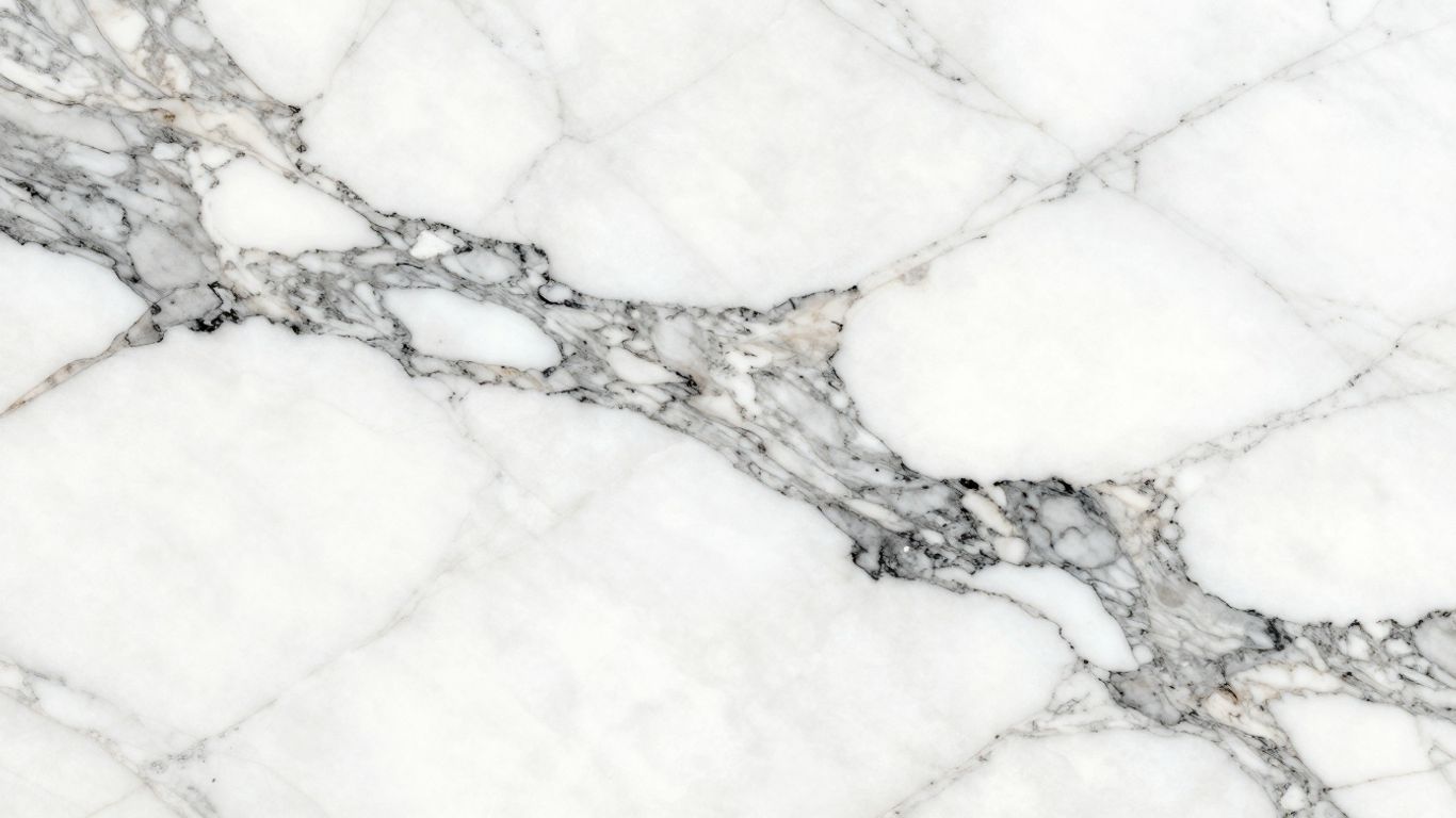 Sketch of luxurious Arabescato marble slab with grey veins.