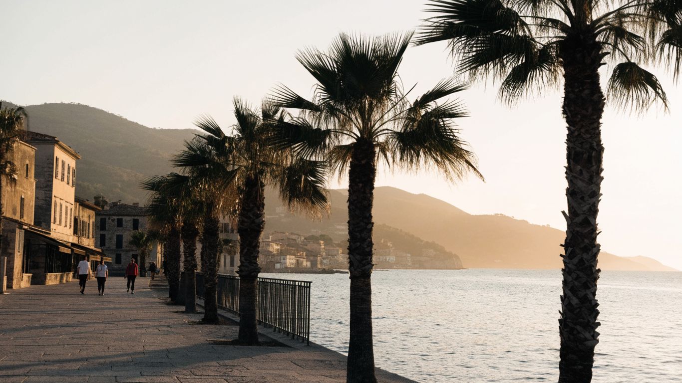 A palm-lined promenade along the Marche coast