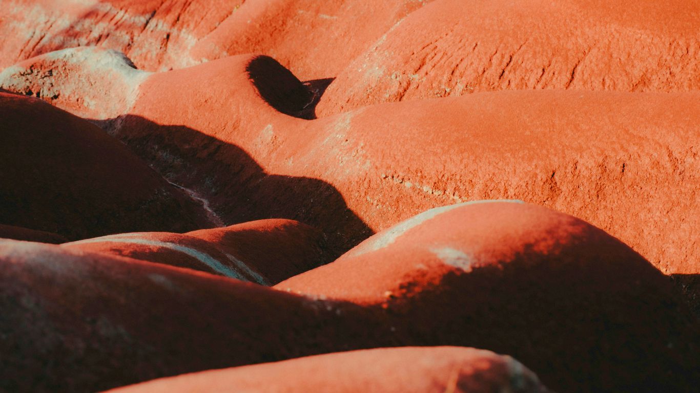 Close-up of textured orange rocks in sunlight.