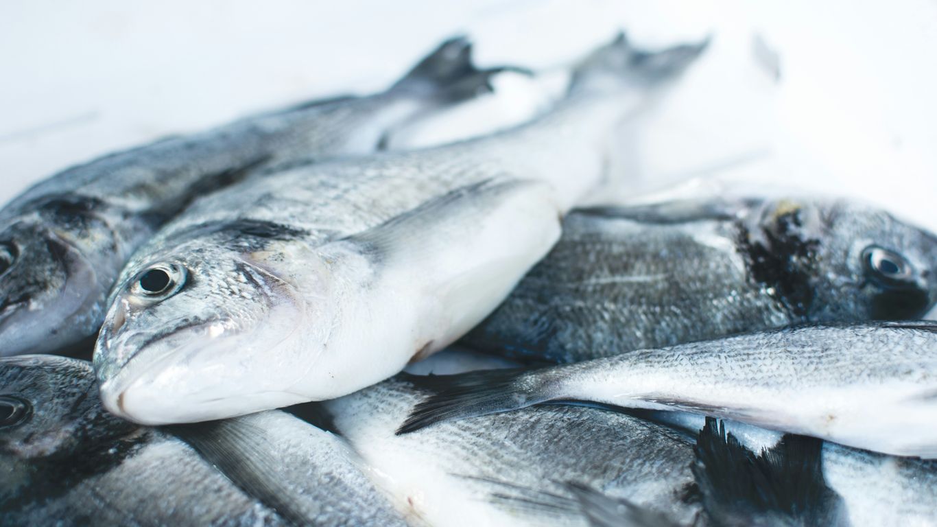 Fresh seafood displayed in a local market