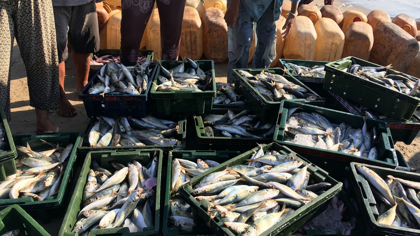 Fresh seafood displayed on ice
