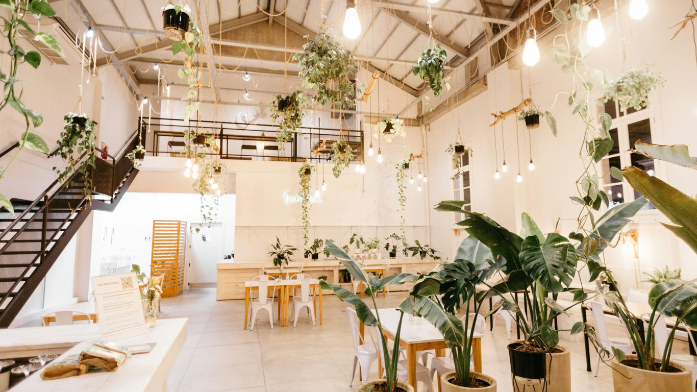 Greenery inside a peaceful cafe environment