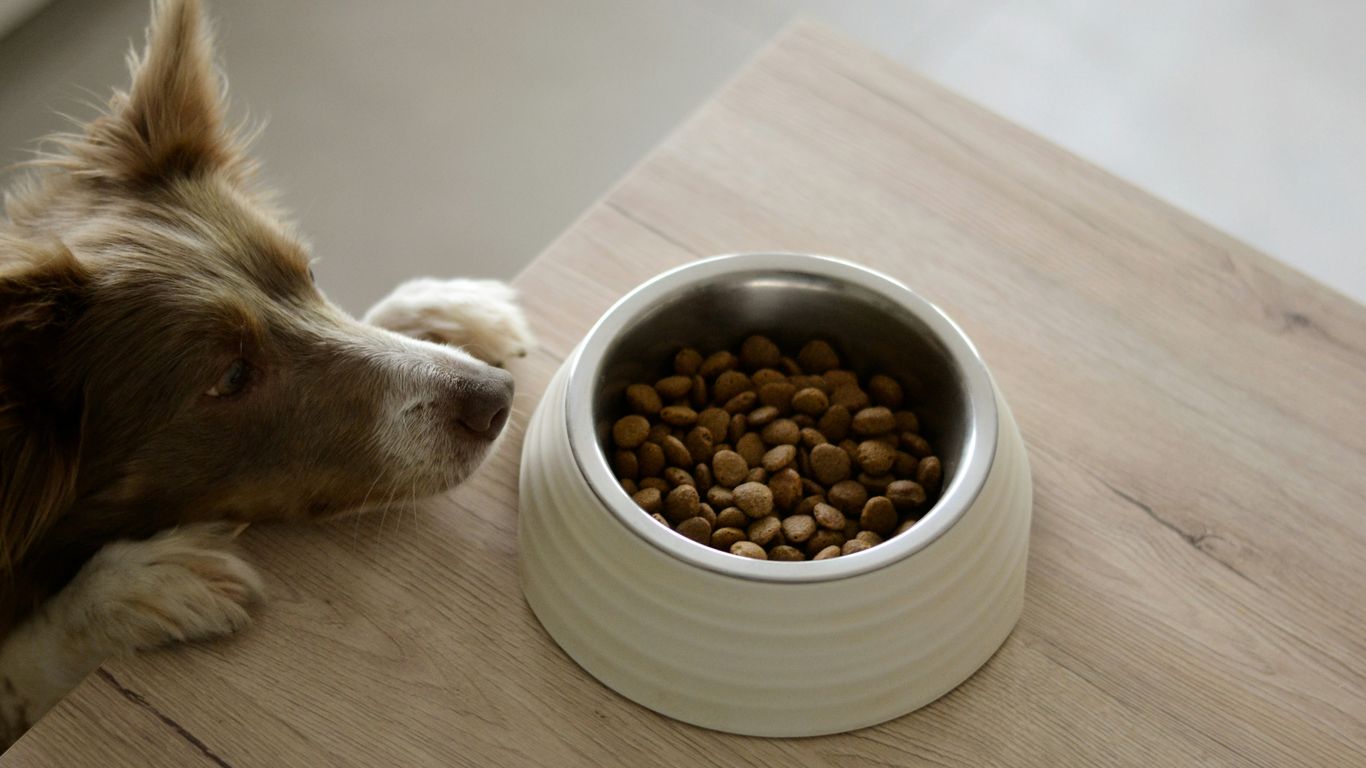 Dry pet food quality inspection