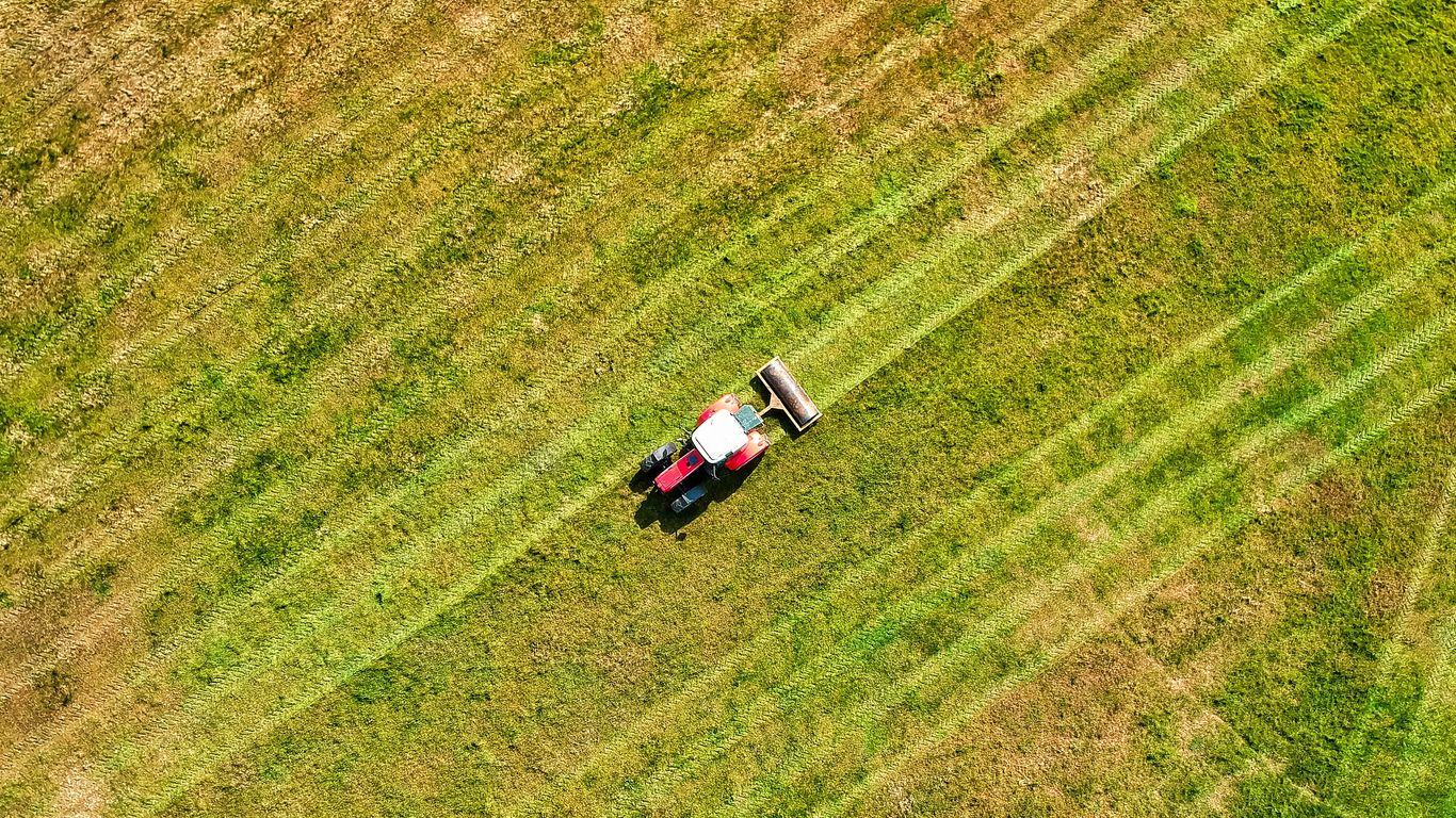 white and black truck on green grass field during daytime