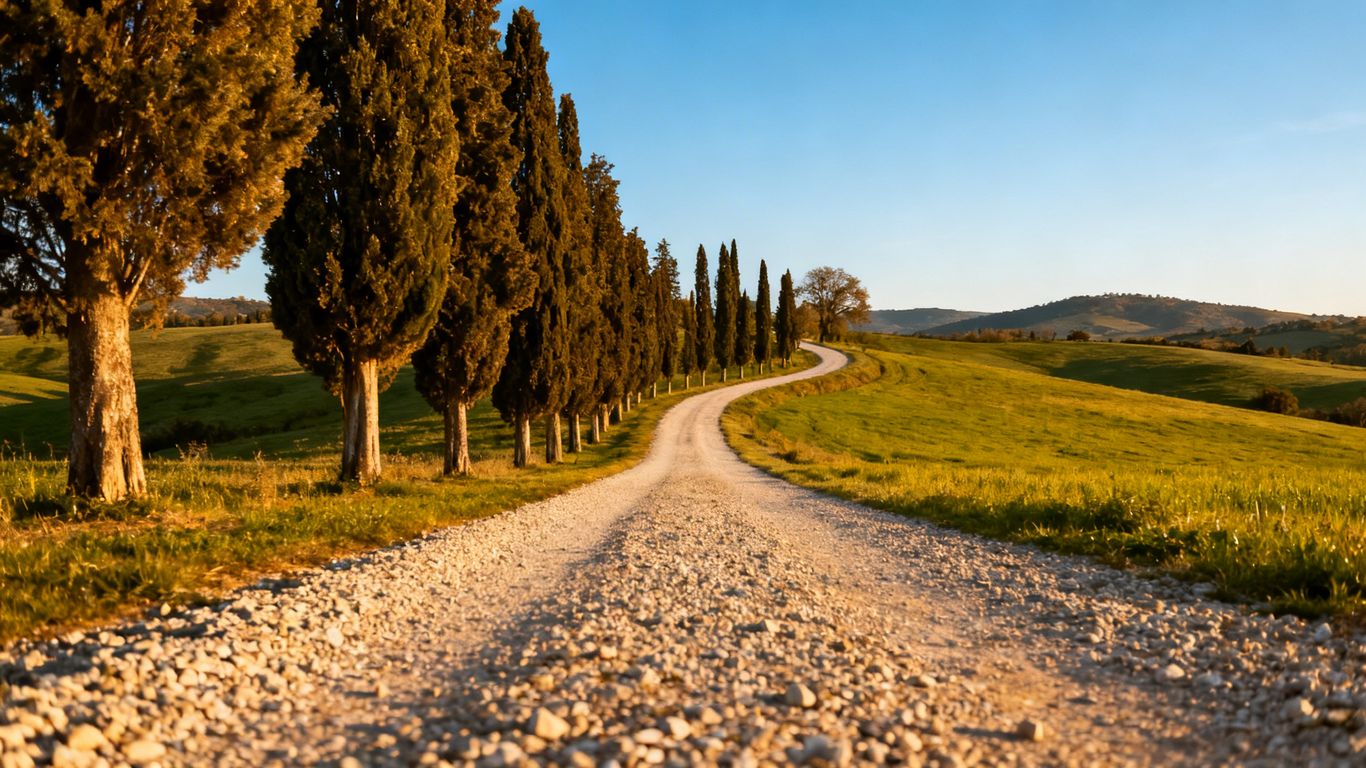 Rural driveway through green landscape