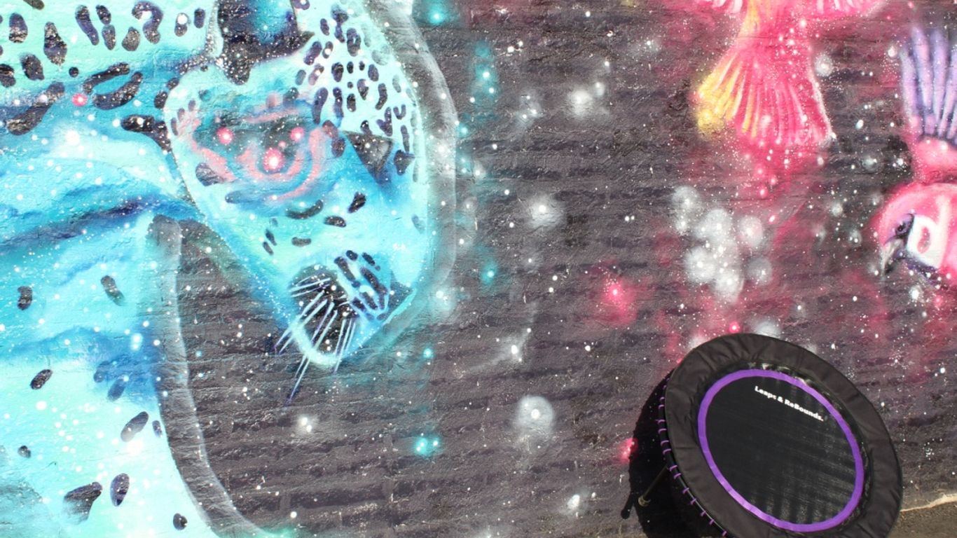 Colorful mural of animals with trampoline in front, outdoors.