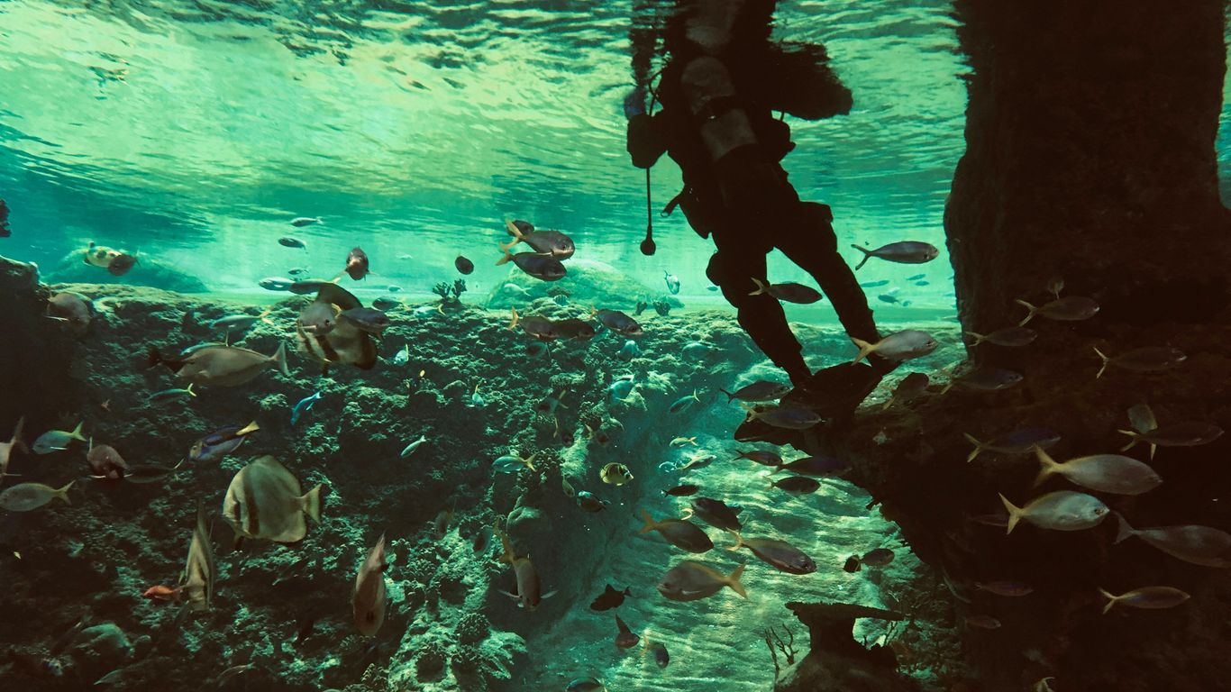 man in black wet suit in water