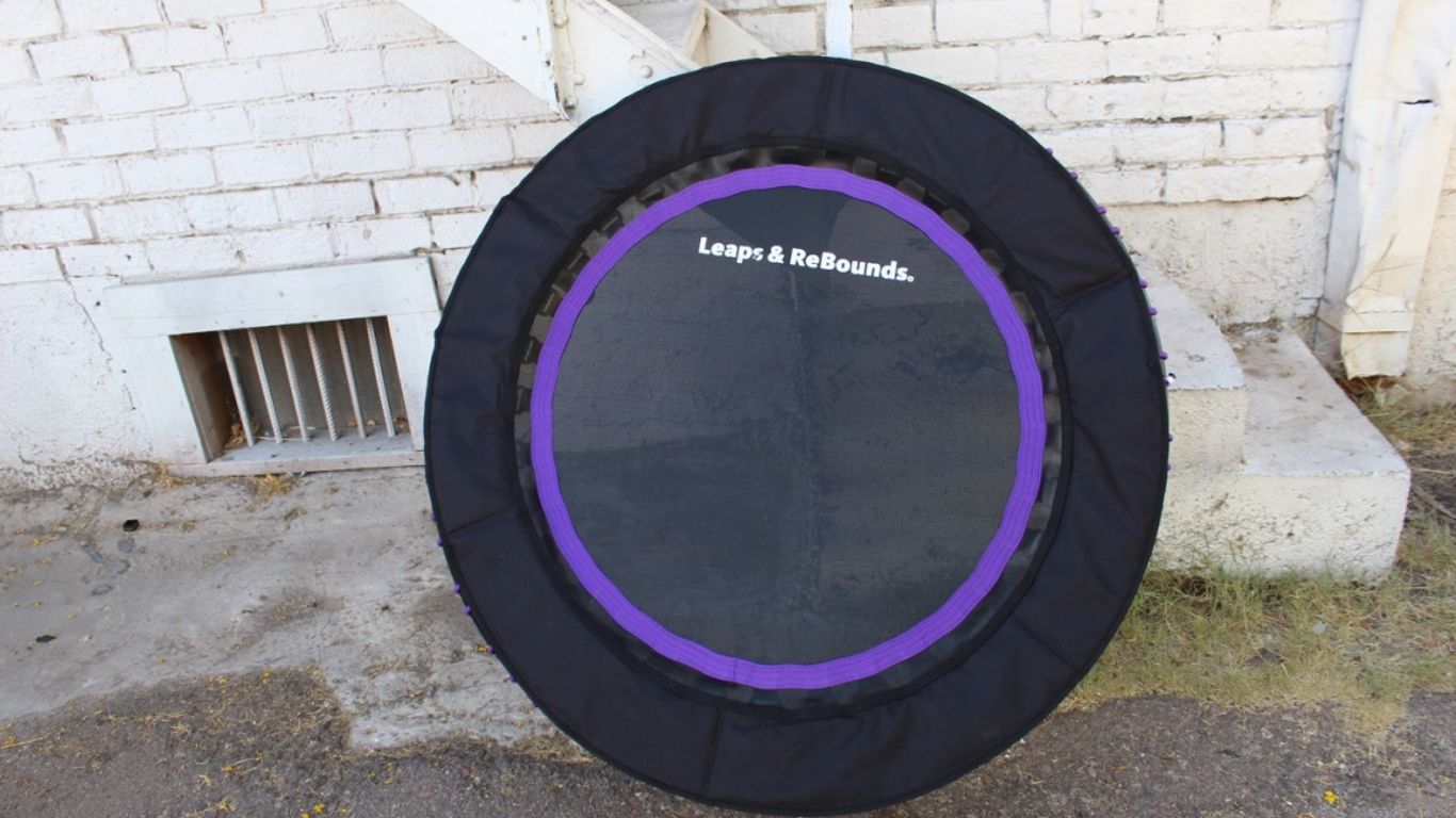 A small trampoline with purple trim leaning against a wall.