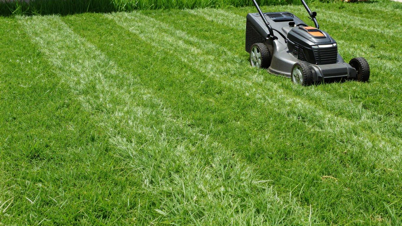 Lush green lawn with a perfectly striped pattern and a lawn mower.