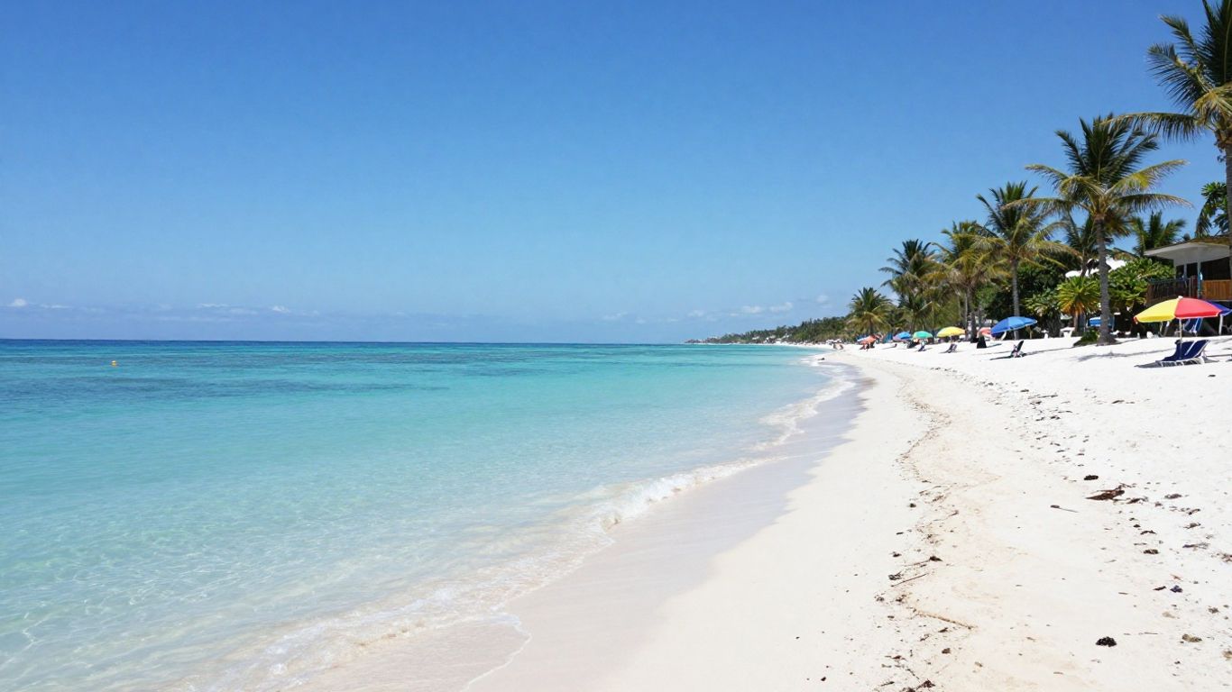 Sunny beach with palm trees and clear blue water.